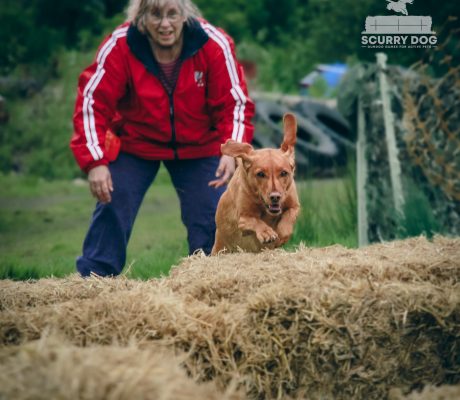 Mel jumping bales with Babs in bkground